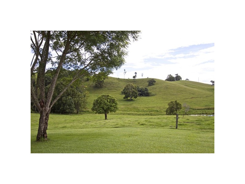 108 Old Lismore Road, Murwillumbah NSW 2484