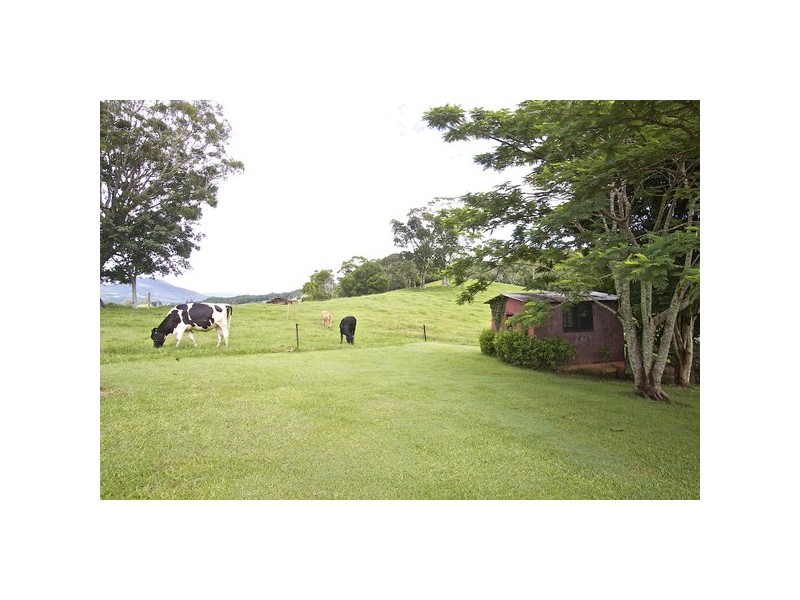 108 Old Lismore Road, Murwillumbah NSW 2484
