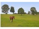 Lot 1 Eva Crescent, Piggabeen NSW 2486