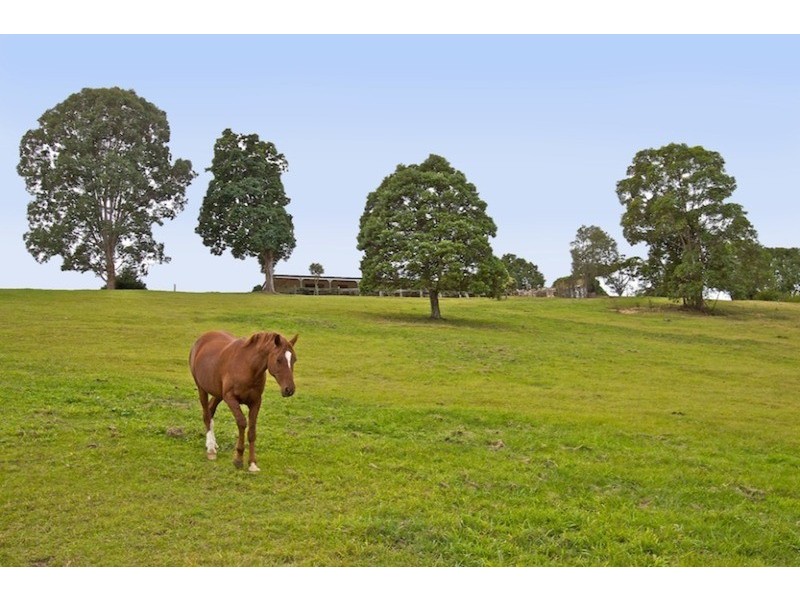 Lot 1 Eva Crescent, Piggabeen NSW 2486
