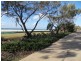 12 Haig Street, Kirra QLD 4225