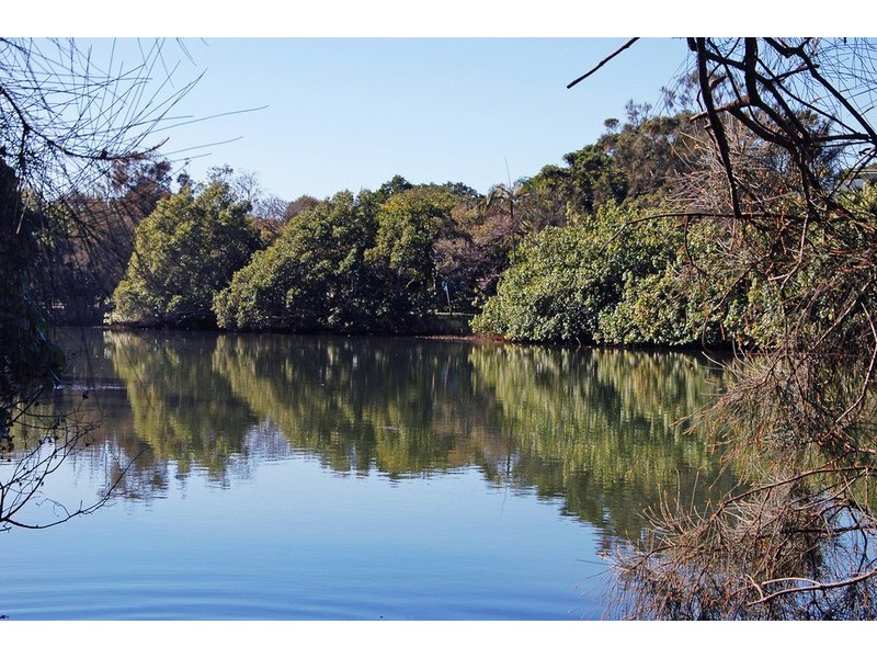 54 Fingal Road, Fingal Head NSW 2487