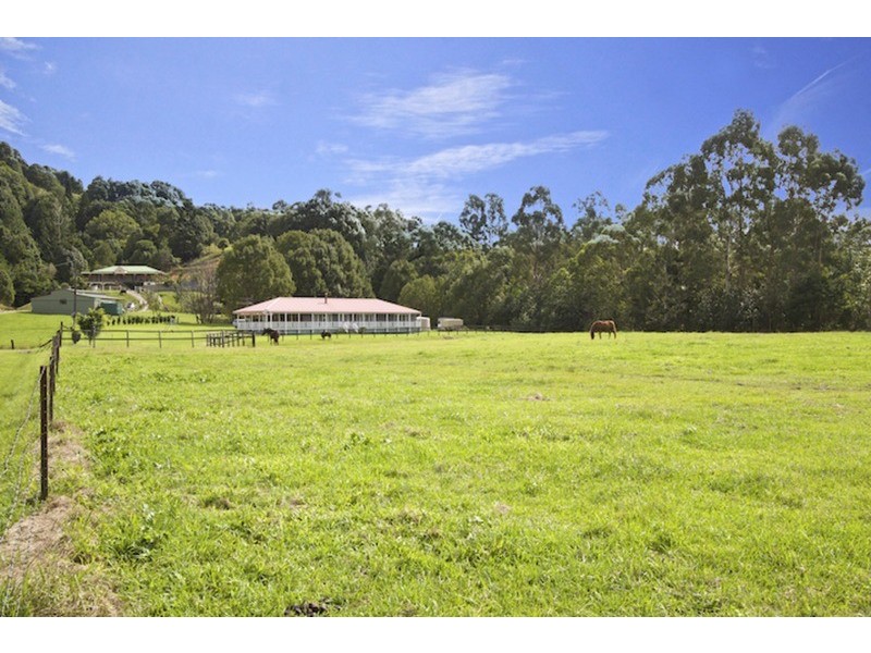 14 Pine Tree Place, Piggabeen NSW 2486