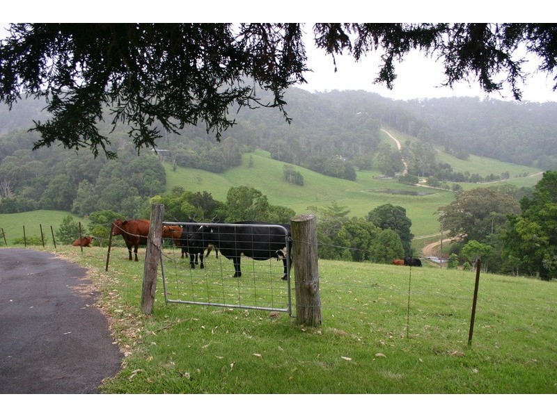 15 Eva Crescent, Piggabeen NSW 2486