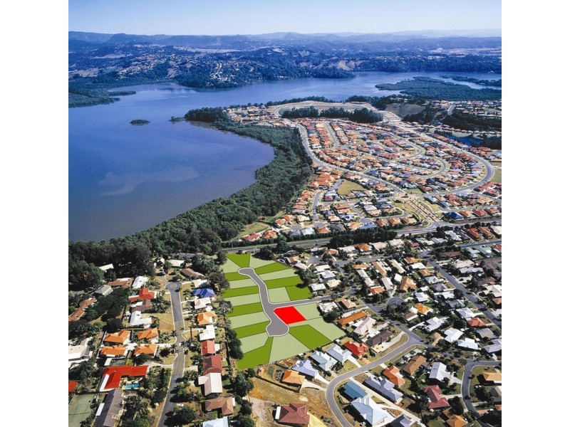 7 Jacabina Court, Banora Point NSW 2486