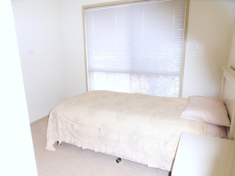 214 Darlington Drive, Banora Point NSW 2486