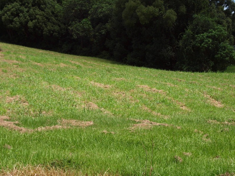 Lot 12 Curtawilla Street, Banora Point NSW 2486