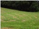 Lot 12 Curtawilla Street, Banora Point NSW 2486