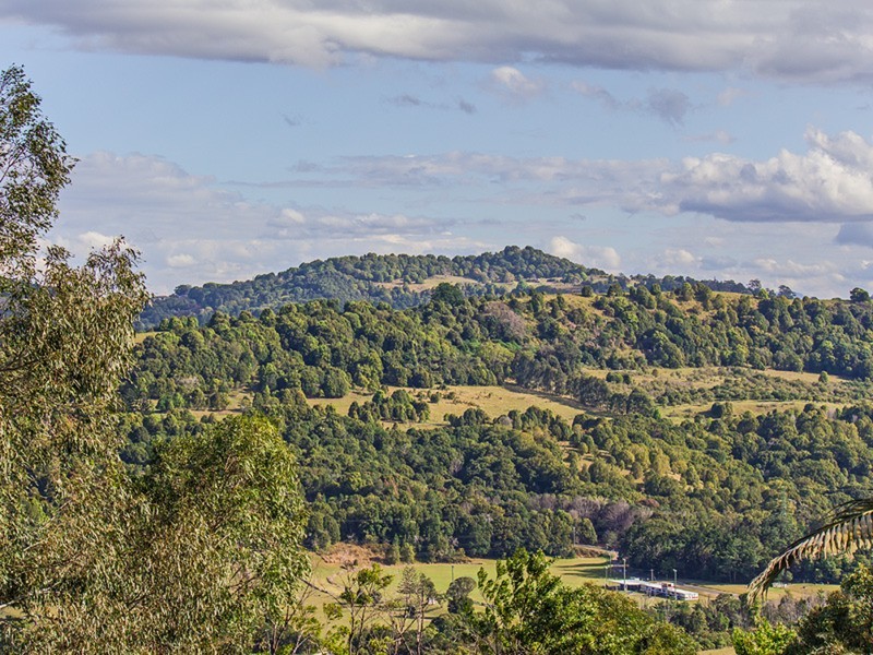 23 Fir Street, Bilambil Heights NSW 2486