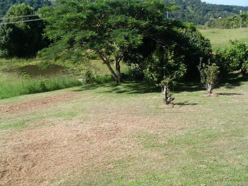 512 Carool Road, Carool NSW 2486