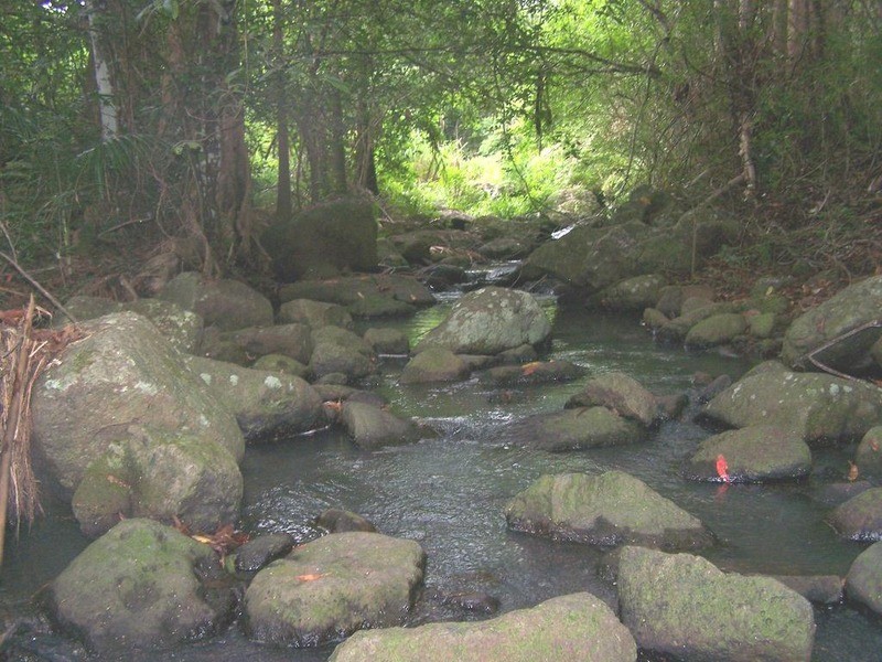 512 Carool Road, Carool NSW 2486