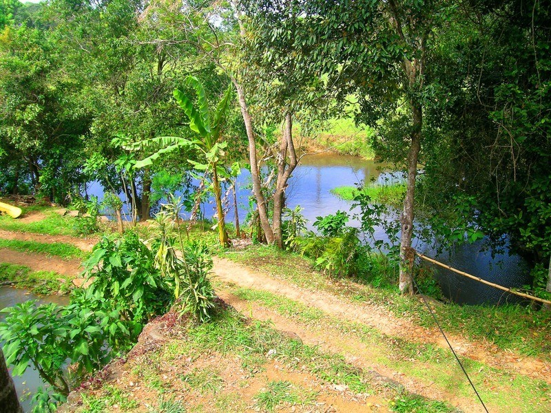 192 Urliup  Road, Bilambil Heights NSW 2486