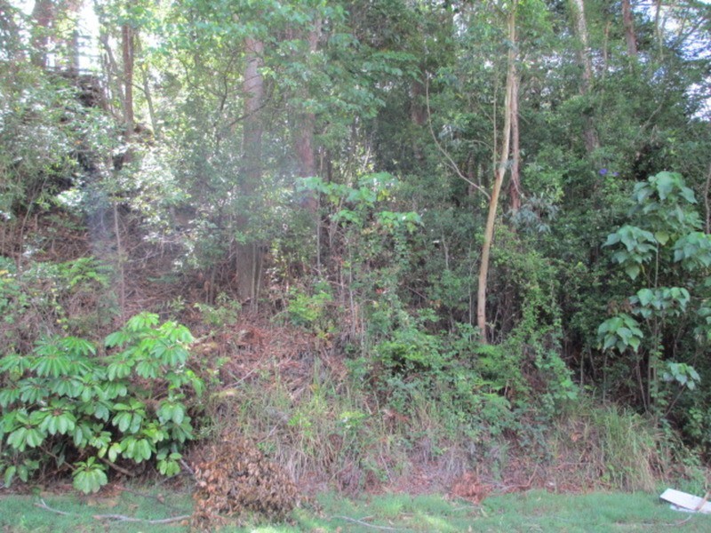 72 Piggabeen Road, Tweed Heads West NSW 2485