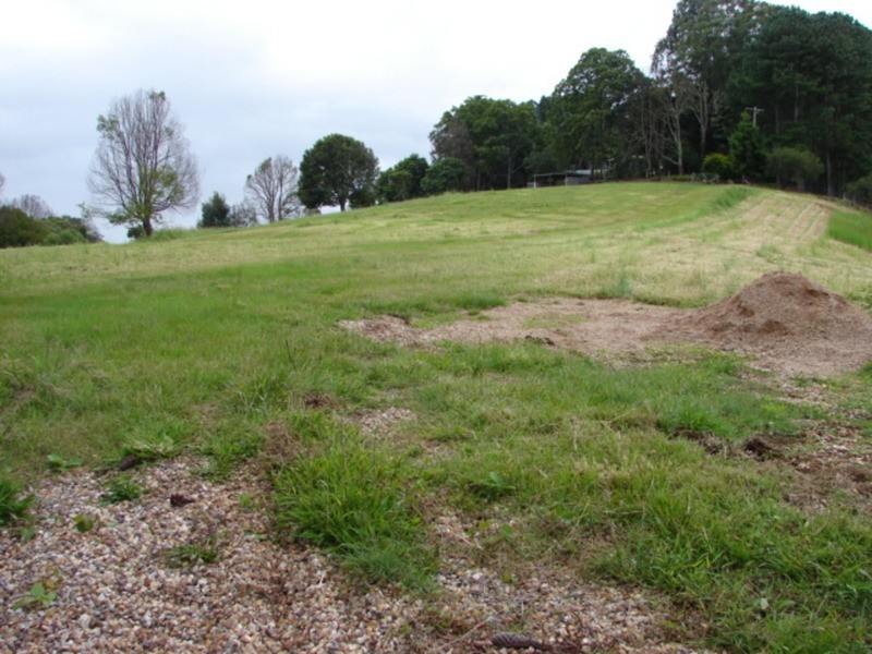224 Carool Road, Bilambil NSW 2486