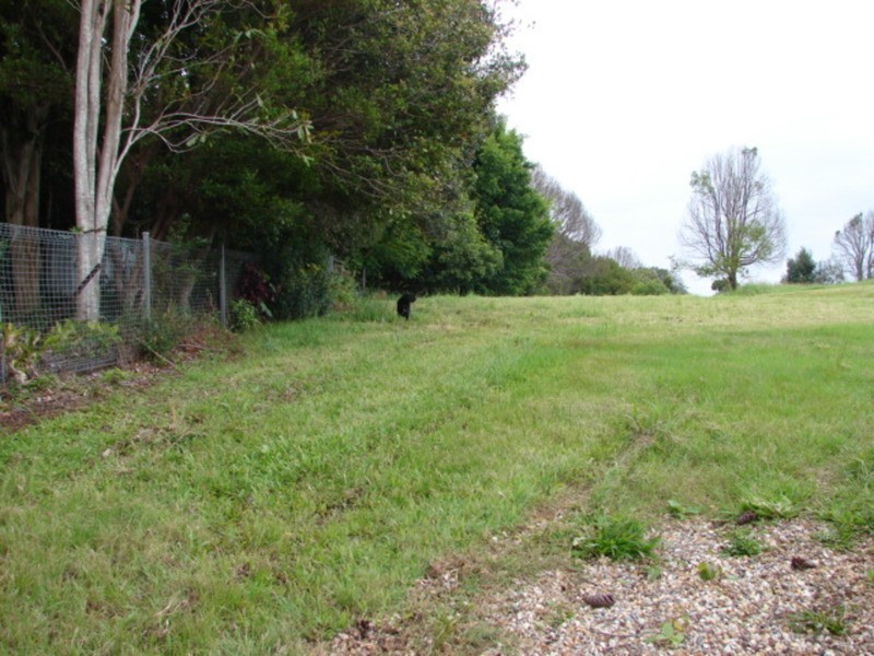 224 Carool Road, Bilambil NSW 2486