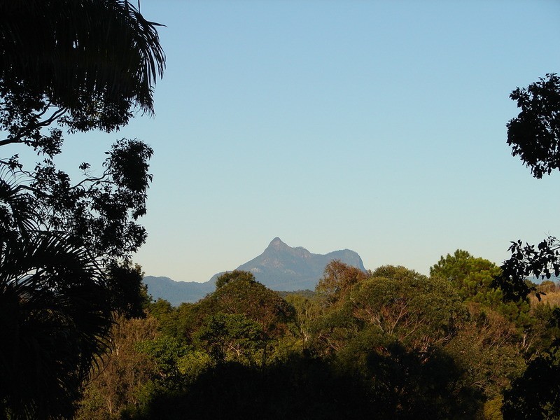 216 Carool Road, Bilambil NSW 2486