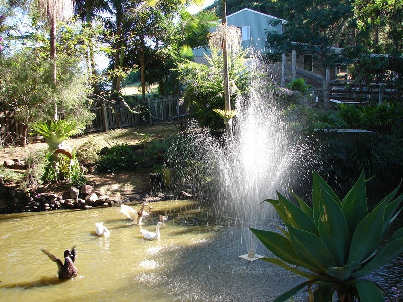 216 Carool Road, Bilambil NSW 2486