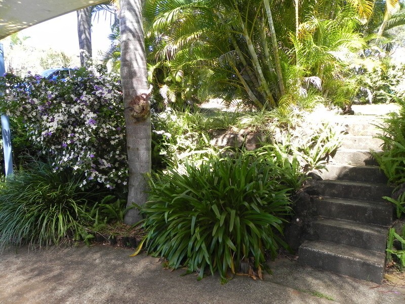 4 Peninsula Drive, Bilambil Heights NSW 2486