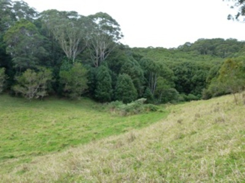 198 Mcauleys Road, Terranora NSW 2486