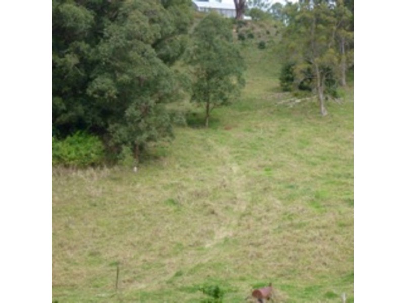 198 Mcauleys Road, Terranora NSW 2486