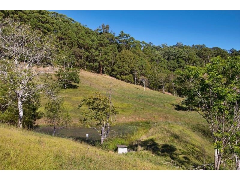 583 Piggabeen Road, Piggabeen NSW 2486