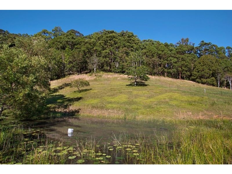 583 Piggabeen Road, Piggabeen NSW 2486