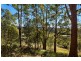 583 Piggabeen Road, Piggabeen NSW 2486