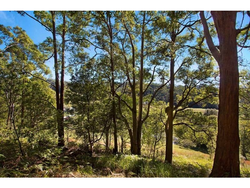 583 Piggabeen Road, Piggabeen NSW 2486