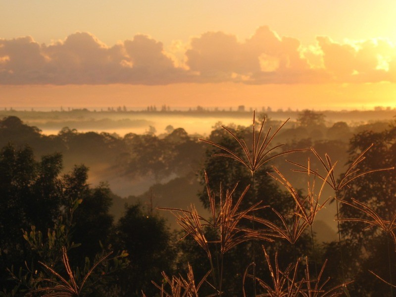 581 Piggabeen Road, Piggabeen NSW 2486