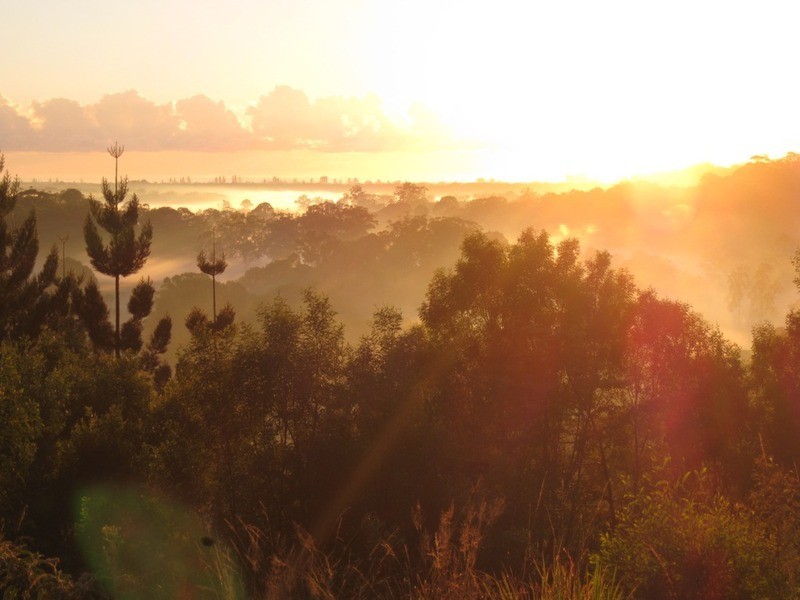 581 Piggabeen Road, Piggabeen NSW 2486