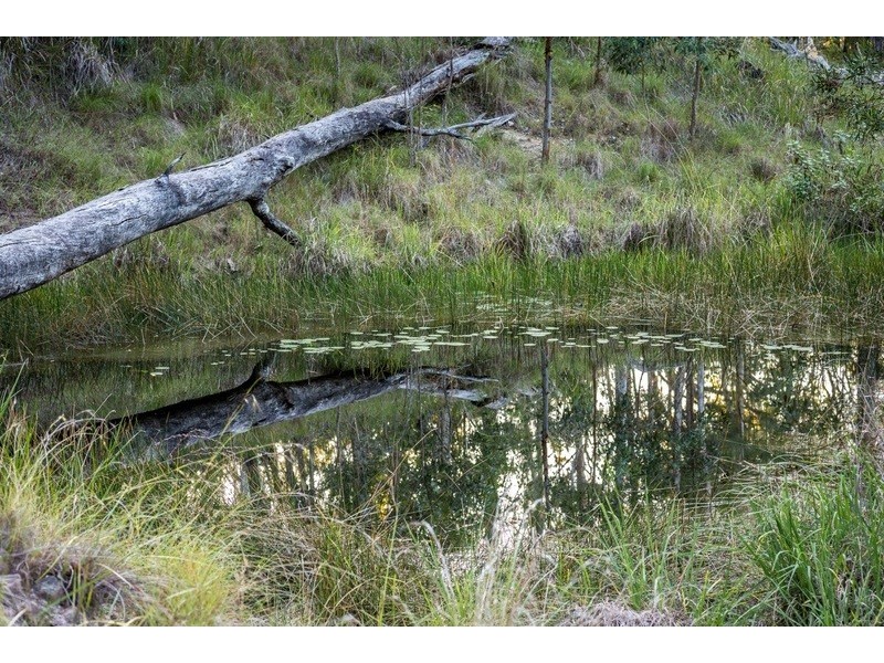 18 Robinsons Road, Piggabeen NSW 2486