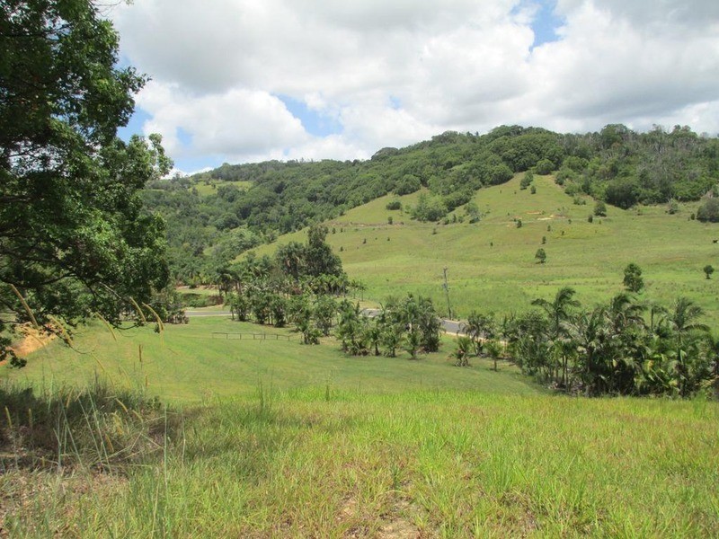 (Lot 1) 19  Bopple Nut Court, Cobaki NSW 2486