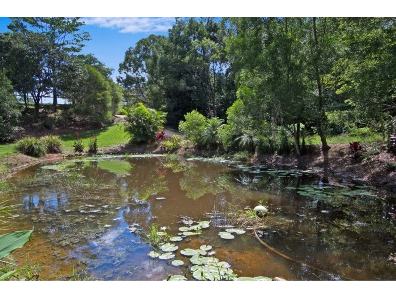 70 Hoop Pine Road, Murwillumbah NSW 2484