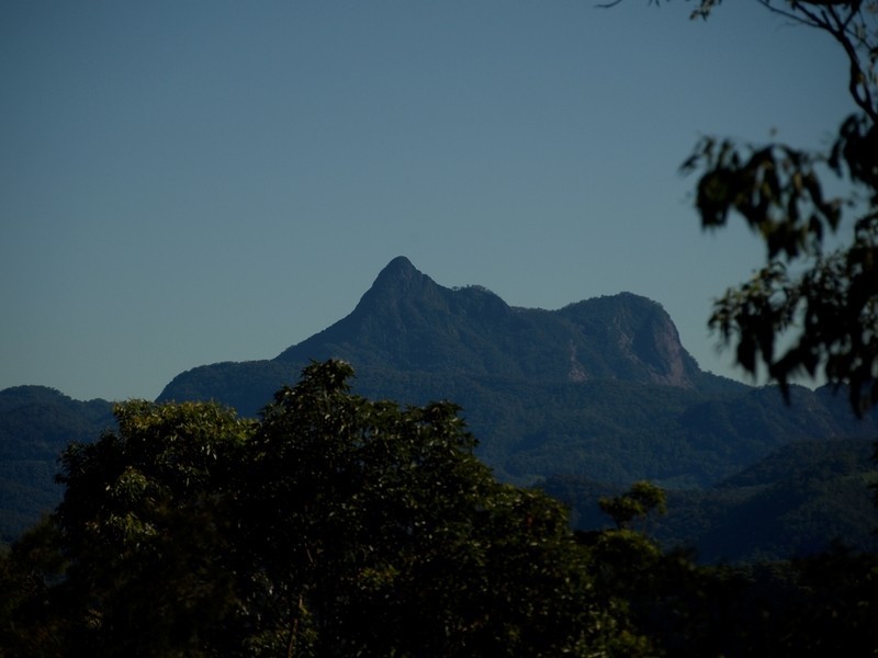 1110 Urliup Road, Murwillumbah NSW 2484