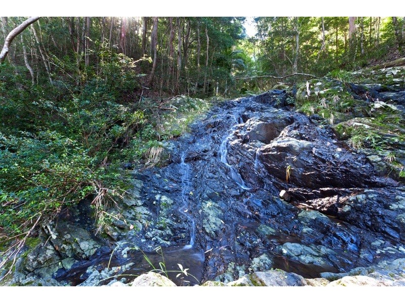 1110 Urliup Road, Murwillumbah NSW 2484