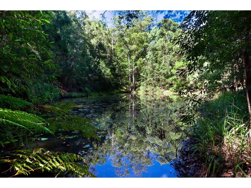 1110 Urliup Road, Murwillumbah NSW 2484