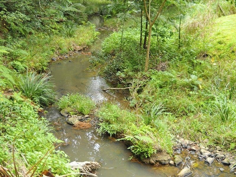 134 Piggabeen  Road, Currumbin Valley QLD 4223