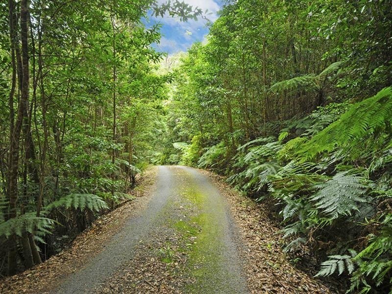 134 Piggabeen  Road, Currumbin Valley QLD 4223