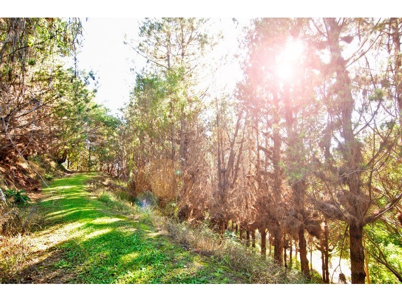 149  Campbells Road, Murwillumbah NSW 2484