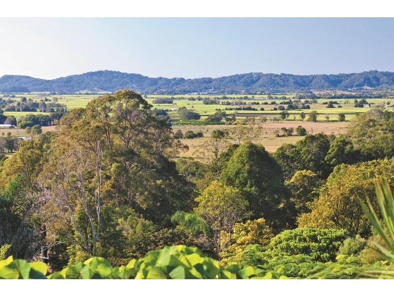 149  Campbells Road, Murwillumbah NSW 2484