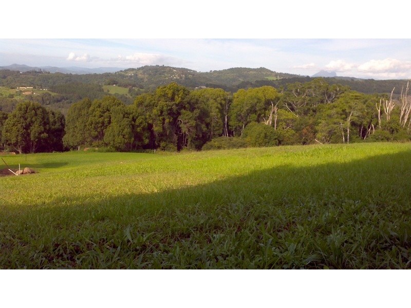 6 Steamboat Court, Bilambil Heights NSW 2486