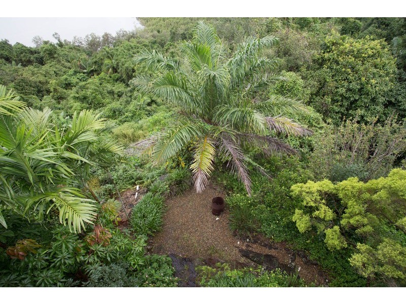 51 Broadwater Esplanade, Bilambil Heights NSW 2486