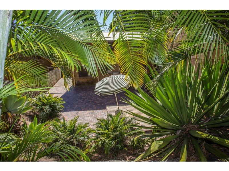 1/8 Leeward Terrace, Tweed Heads NSW 2485