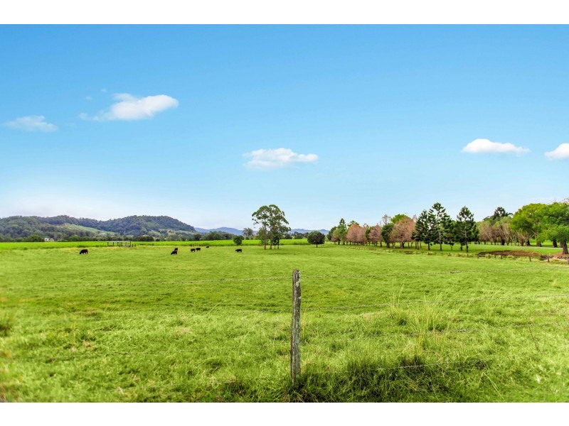 10 Tamarisk Avenue, Murwillumbah NSW 2484