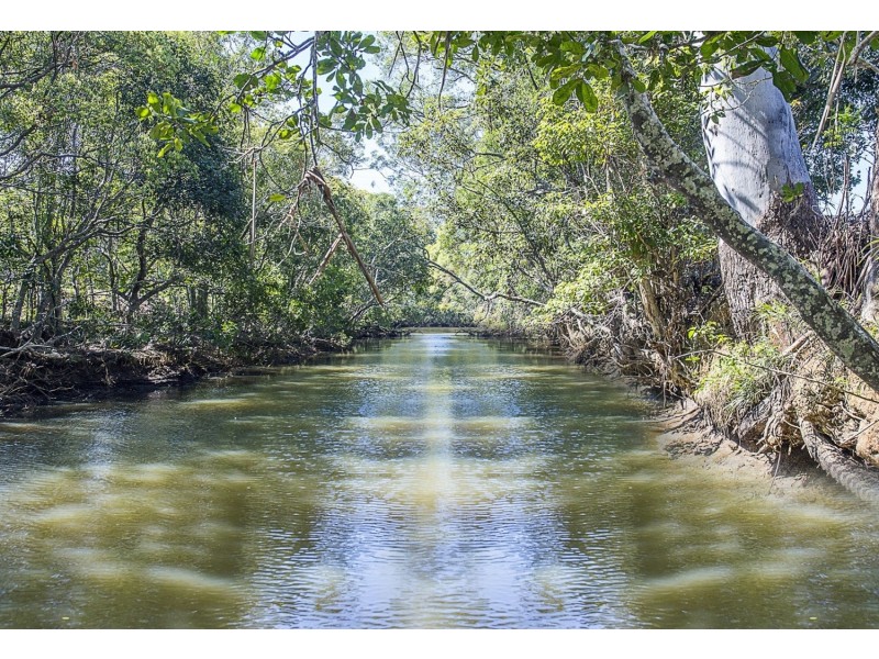 30 Naponyah Road, Terranora NSW 2486