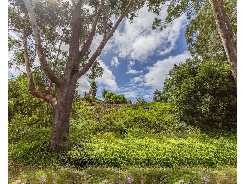 41 Lalina Avenue, Tweed Heads West NSW 2485