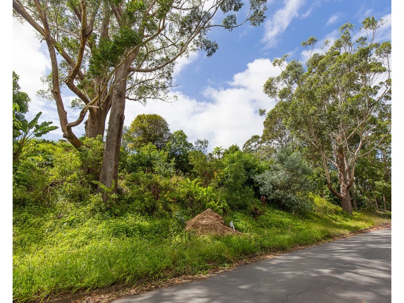 41 Lalina Avenue, Tweed Heads West NSW 2485