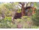 28 Stephenson Road, Bateau Bay NSW 2261