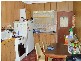 Killarney Vale NSW 2261