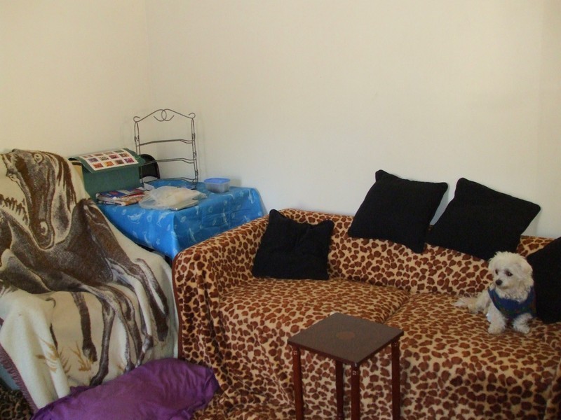 7 Garland Avenue, Killarney Vale NSW 2261